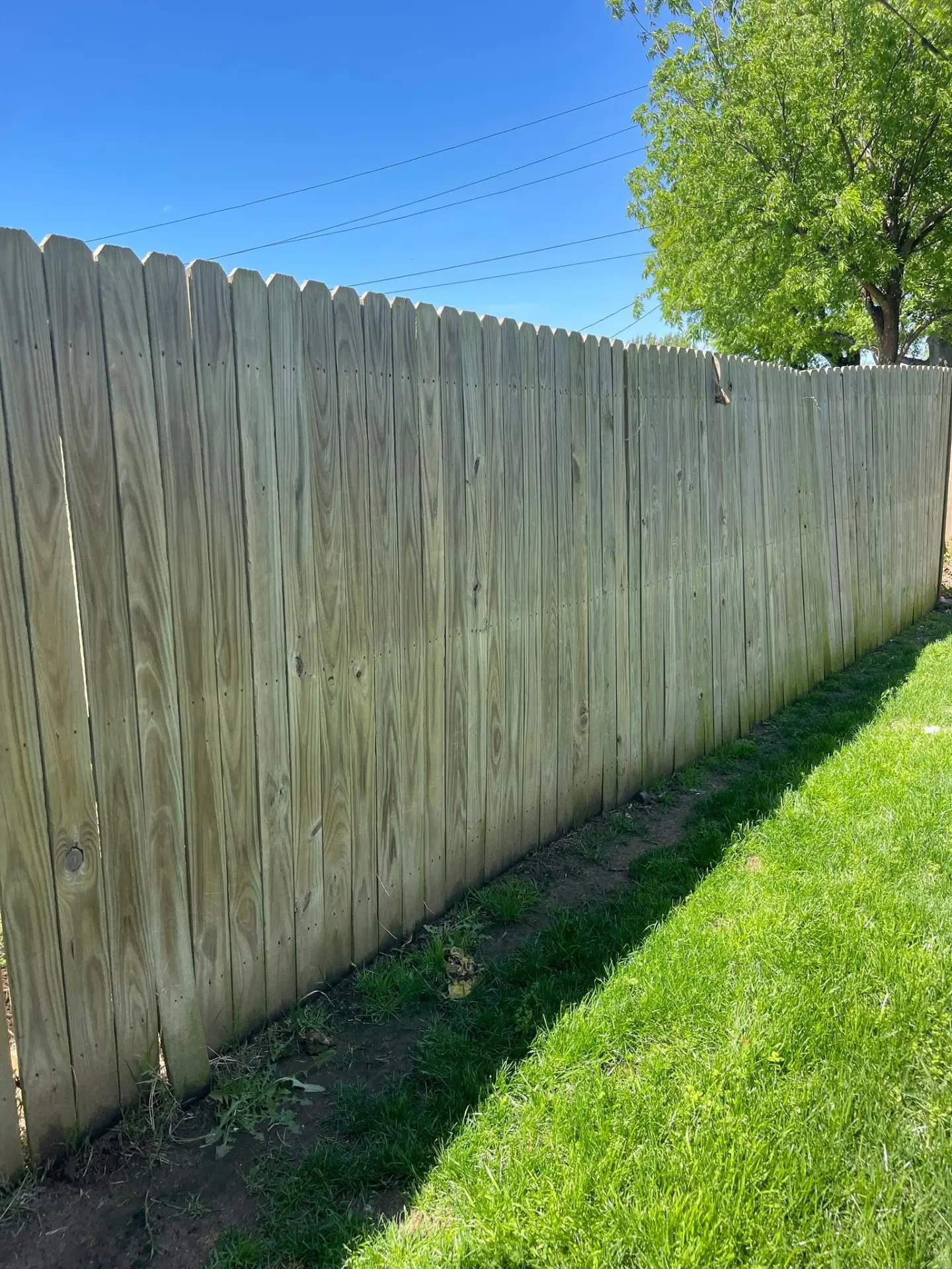 Fence Repair after