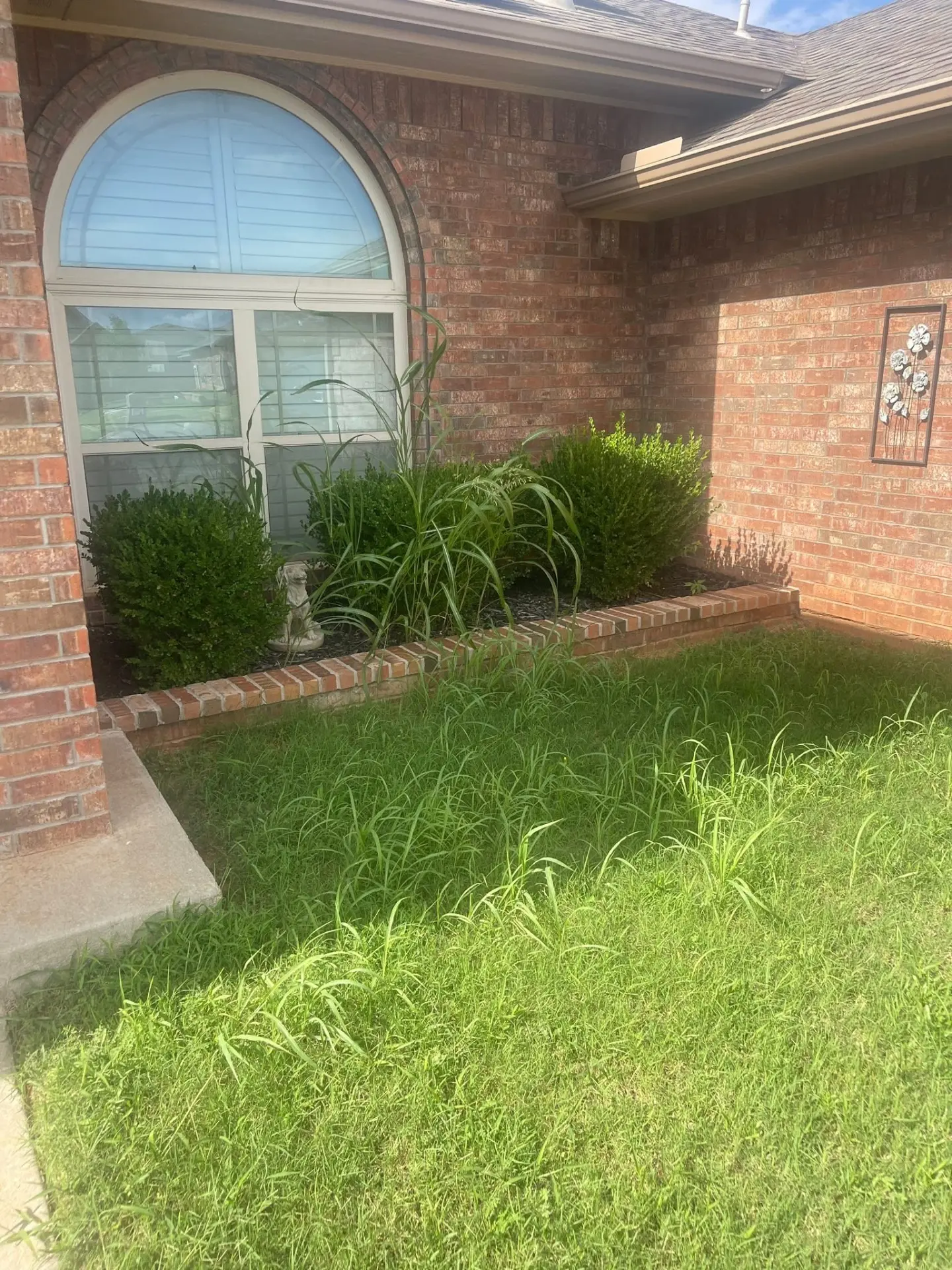 Front Bed Makeover before