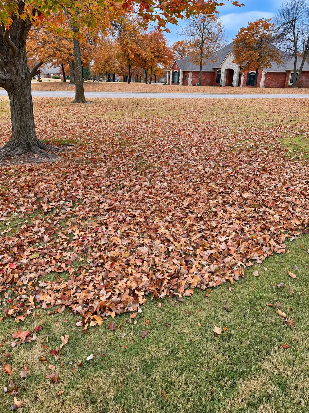 Fall Cleanup before