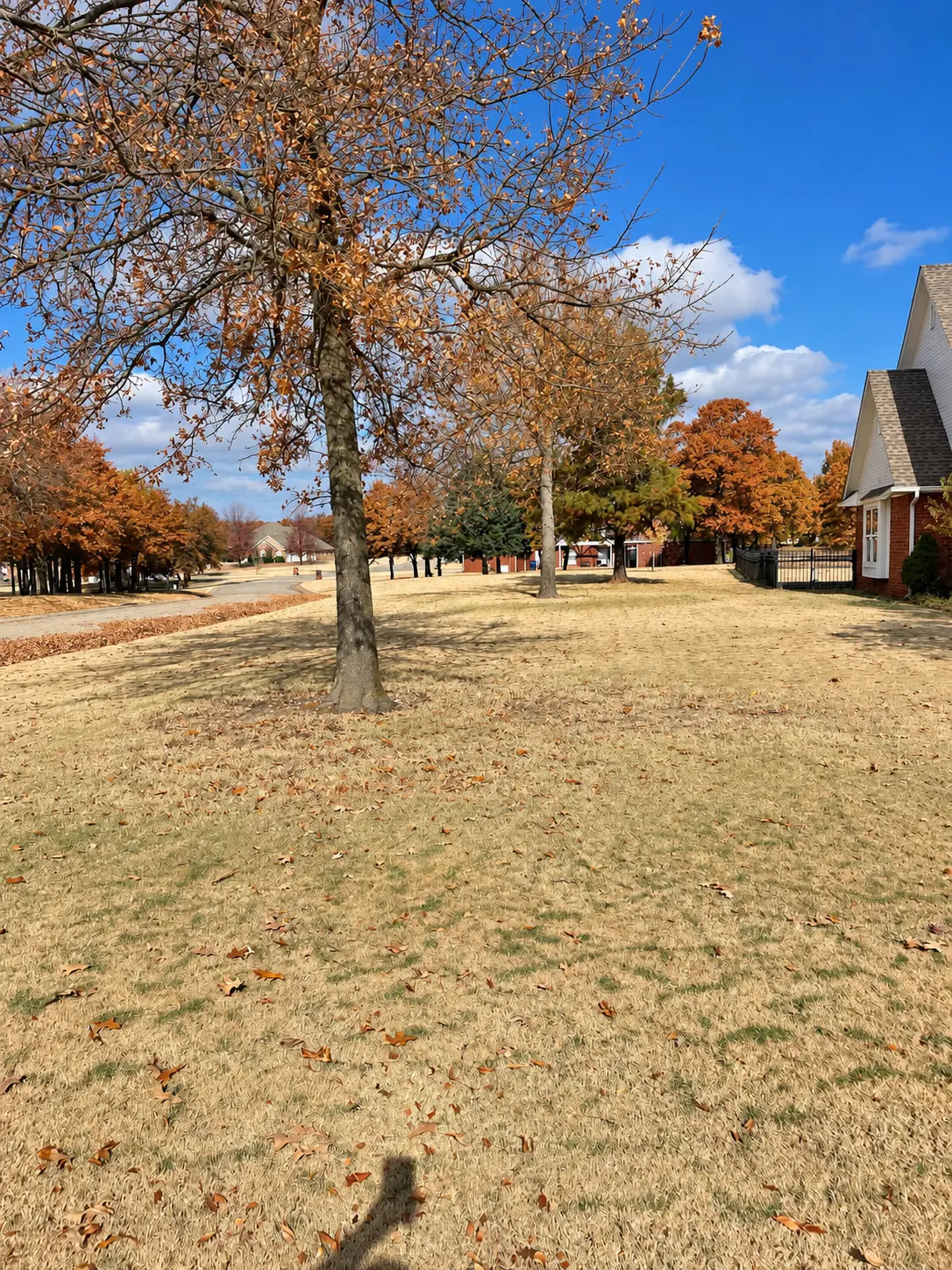 Fall Cleanup after